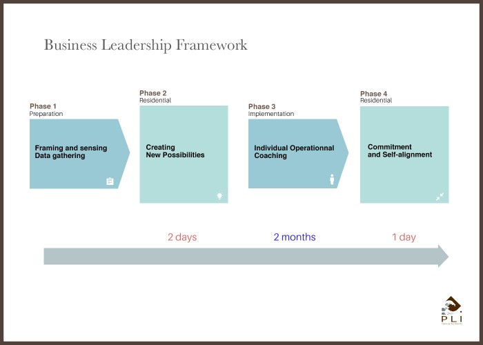 Business Leadership sans cadre