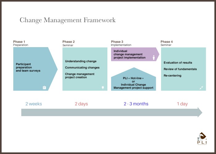 Change Management Framework Sans Cadre