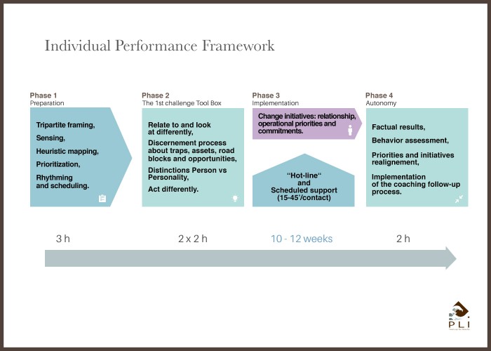 Individual Performance Framework Sans Cadre