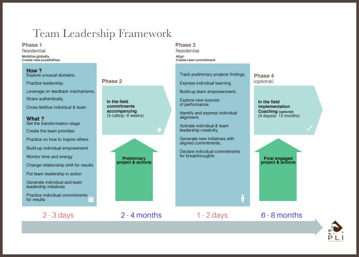 team leadership framework sans cadre