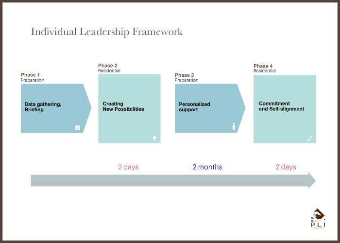 Individual Leadership Framework sans cadre