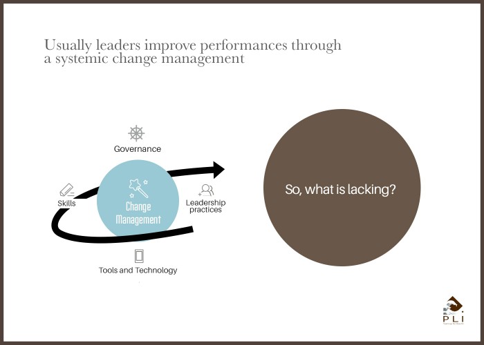 Usually leaders improve performances through a systemic change management Sans Cadre